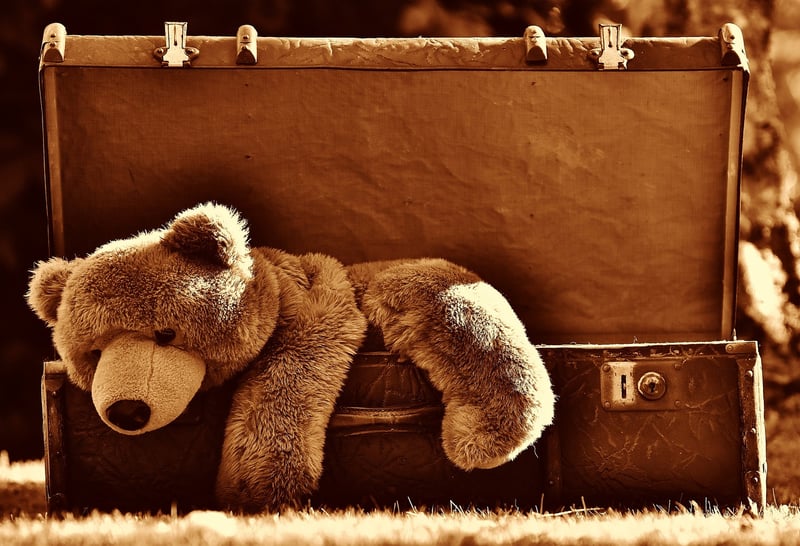 Vintage Suitcase Pet Bed